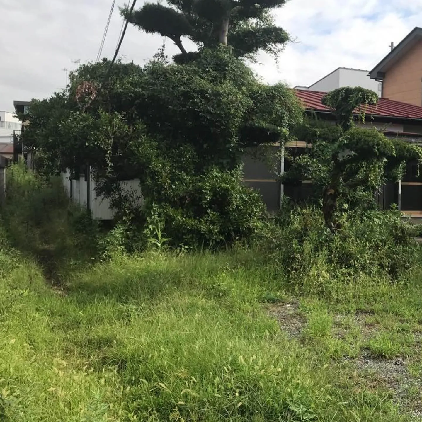 伊勢原市木造平屋建2棟解体工事