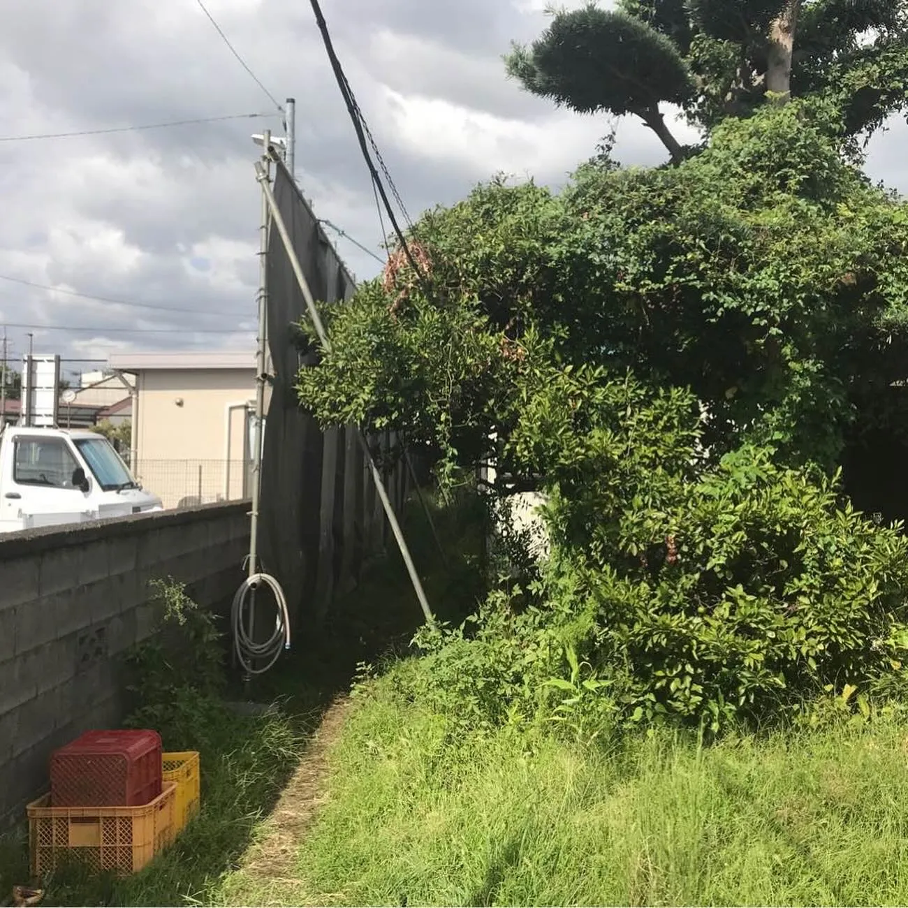 伊勢原市木造平屋建2棟解体工事