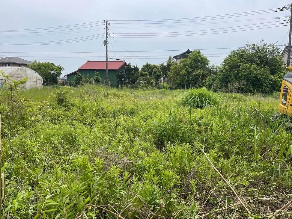 🚧✨ 美しい解体の第一歩、雑草・樹木撤去！ ✨🚧