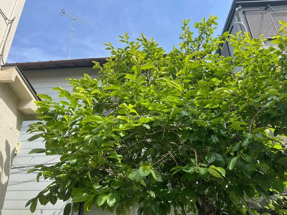 🚧✨ 美しい解体の第一歩、着工！ ✨🚧