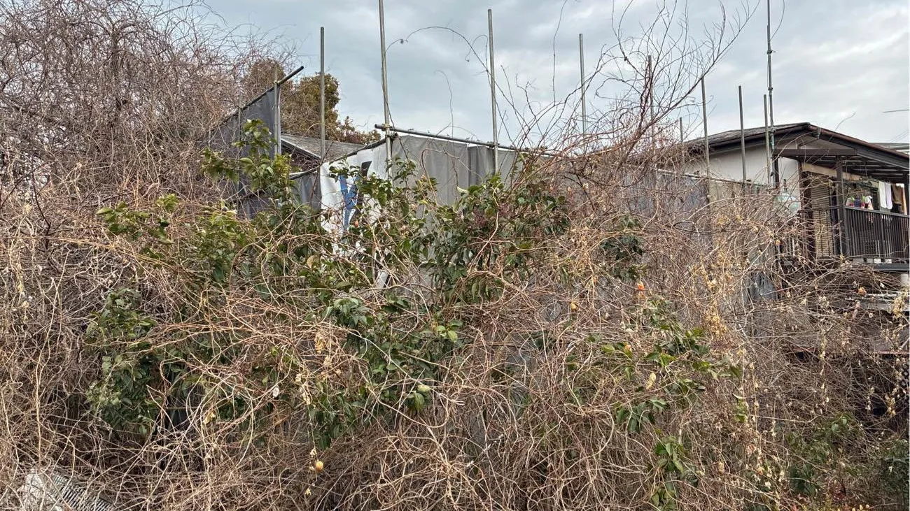 🚧秦野市木造2階建て解体工事🚧